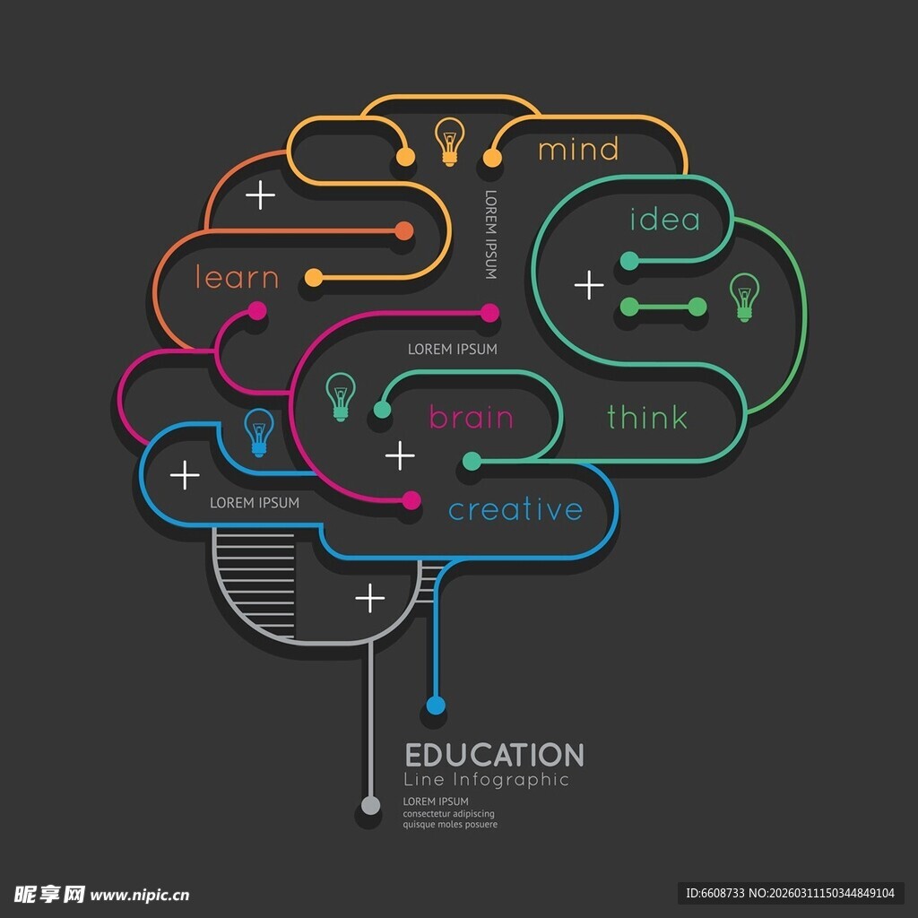 多彩教育路径大脑创意图