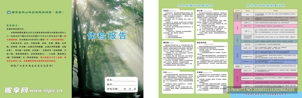 体检报告