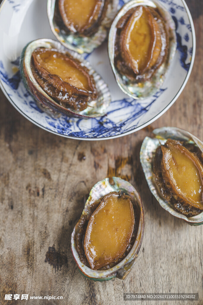 蓝白瓷盘上的新鲜鲍鱼