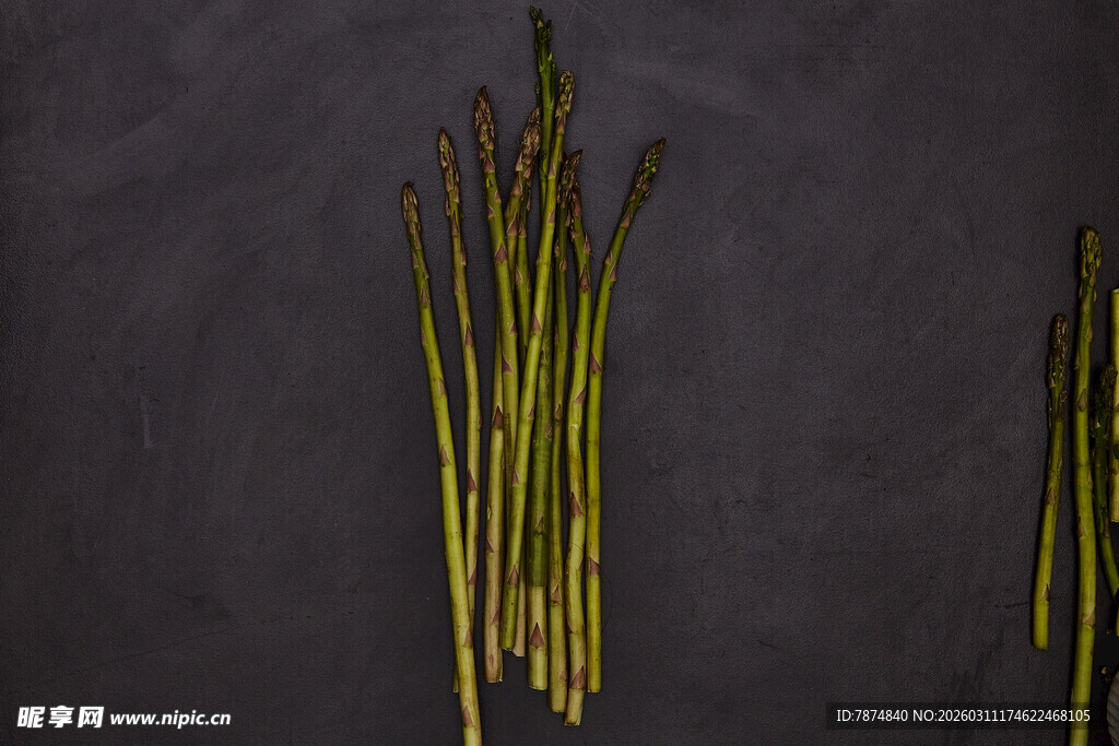 新鲜芦苇杆 自然清新质感