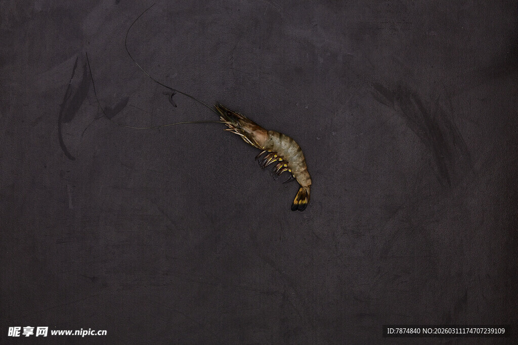 黑色背景上的金色小物件