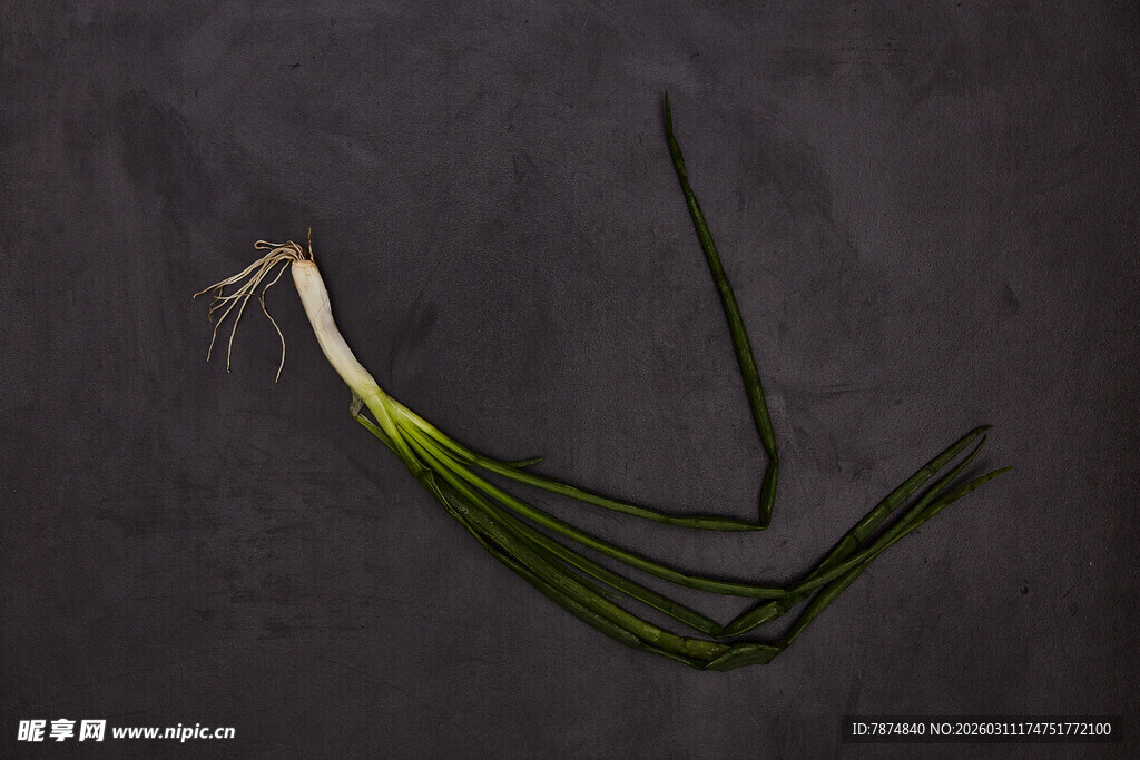 新鲜青葱 翠绿欲滴