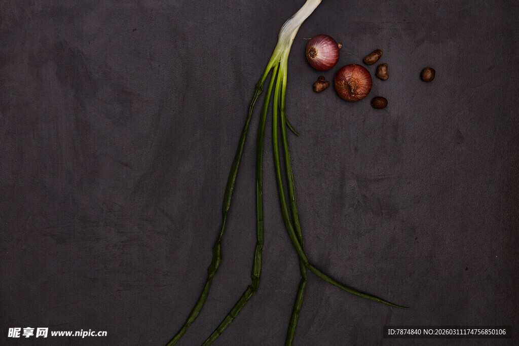 葱与香料静物图