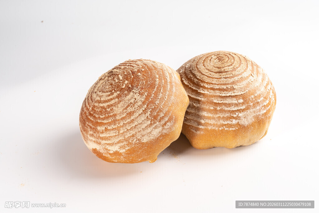 两枚纹理独特的贝壳