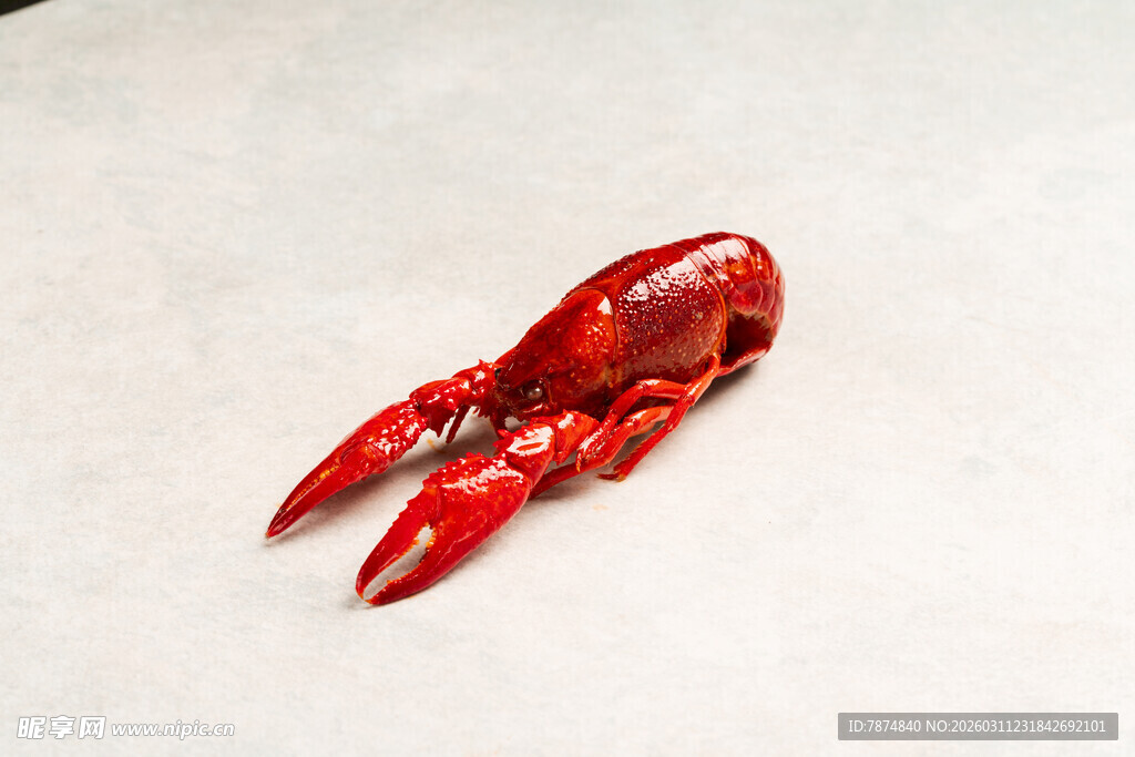 红色龙虾钳特写