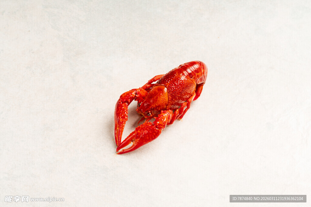 一只鲜红的美味小龙虾