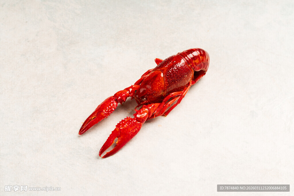红色大龙虾特写
