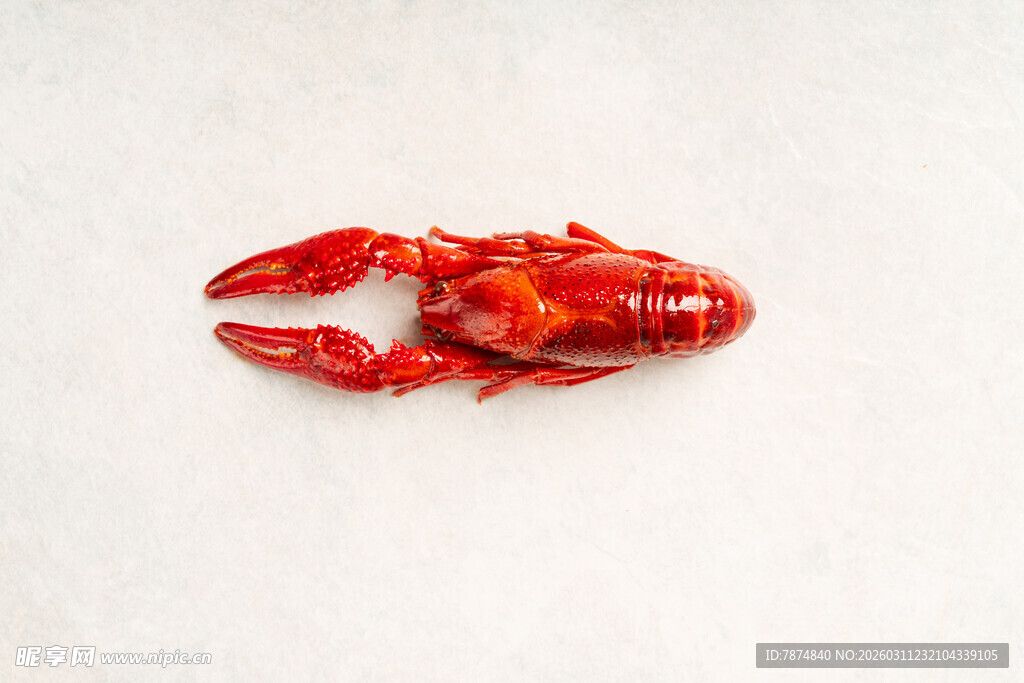 鲜红小龙虾特写