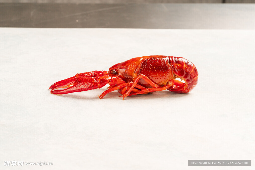 鲜红小龙虾特写