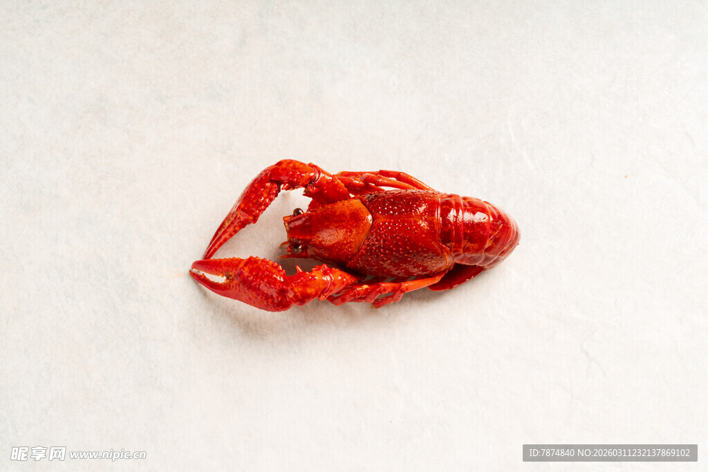 红色小龙虾特写