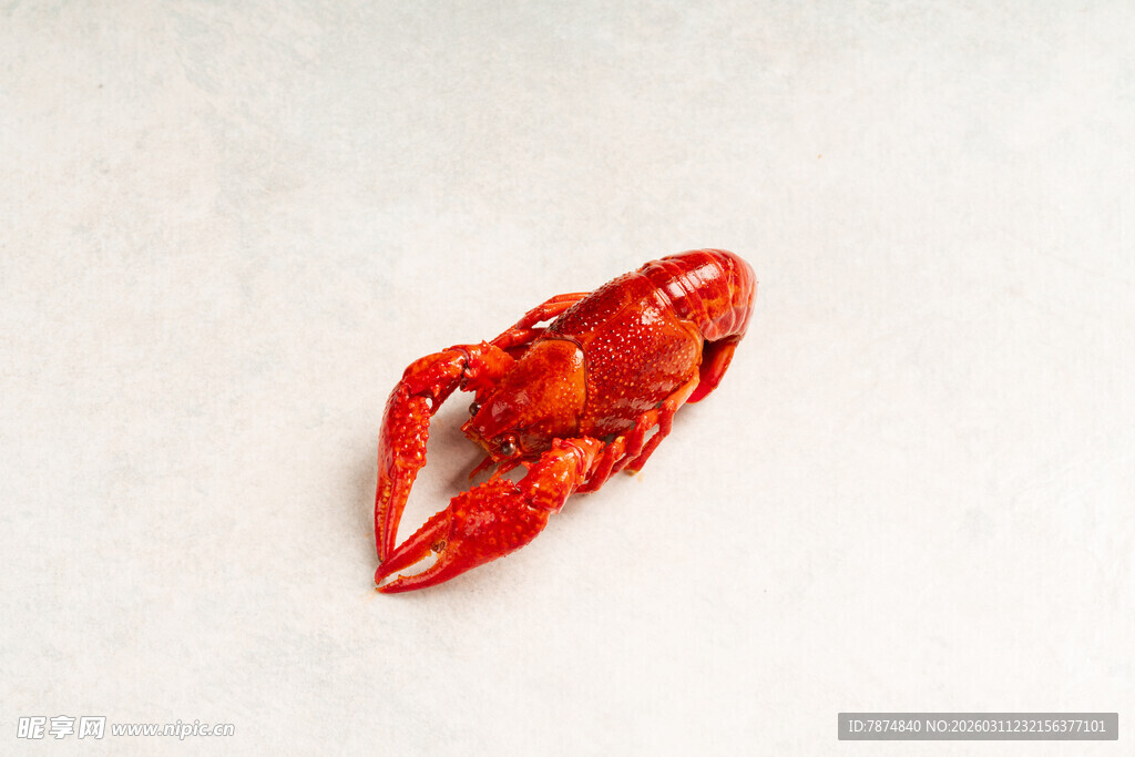 鲜红小龙虾特写