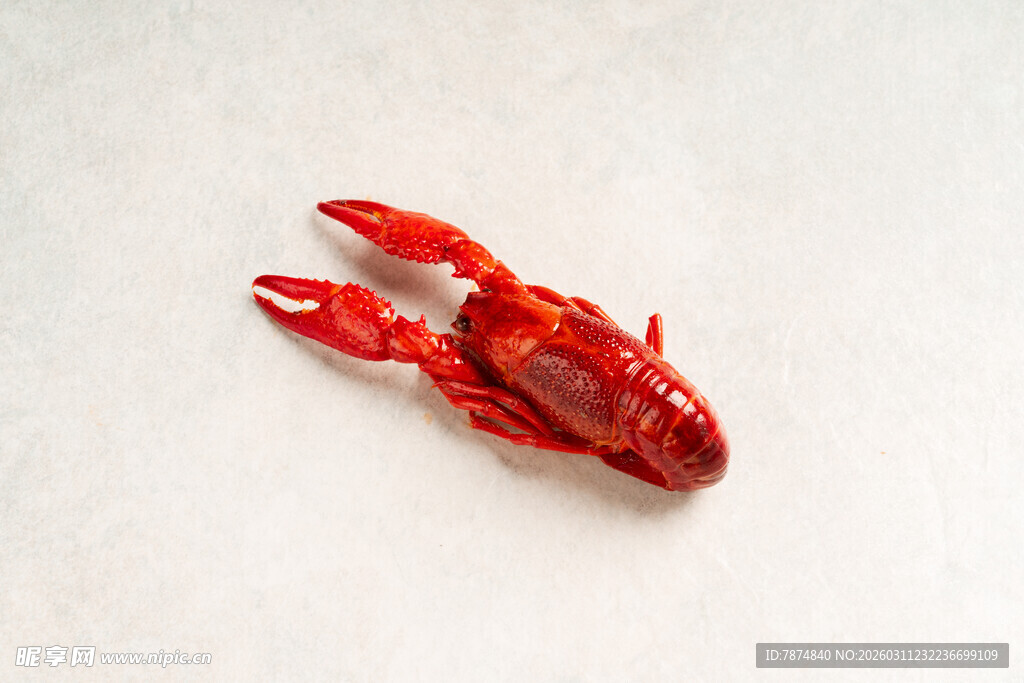 红色小龙虾特写