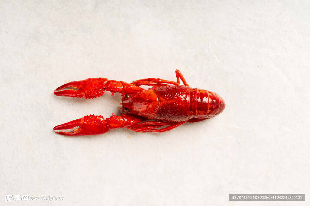 红色小龙虾特写
