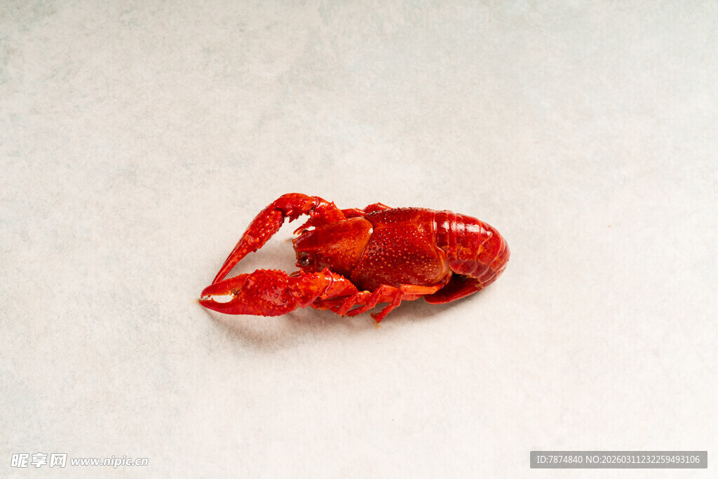 红色小龙虾特写