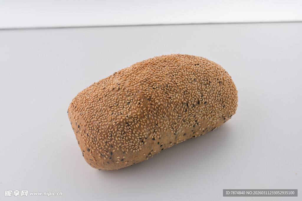 棕色海绵状物体特写