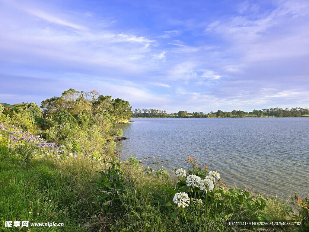 奥克兰海滨美景
