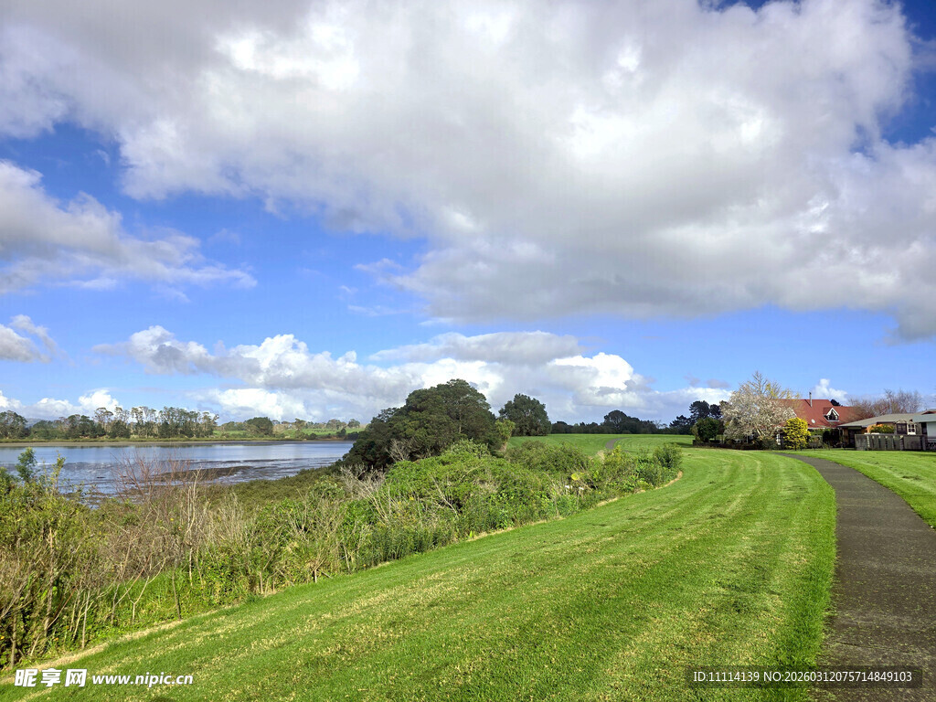 海滨草地间的美丽小径