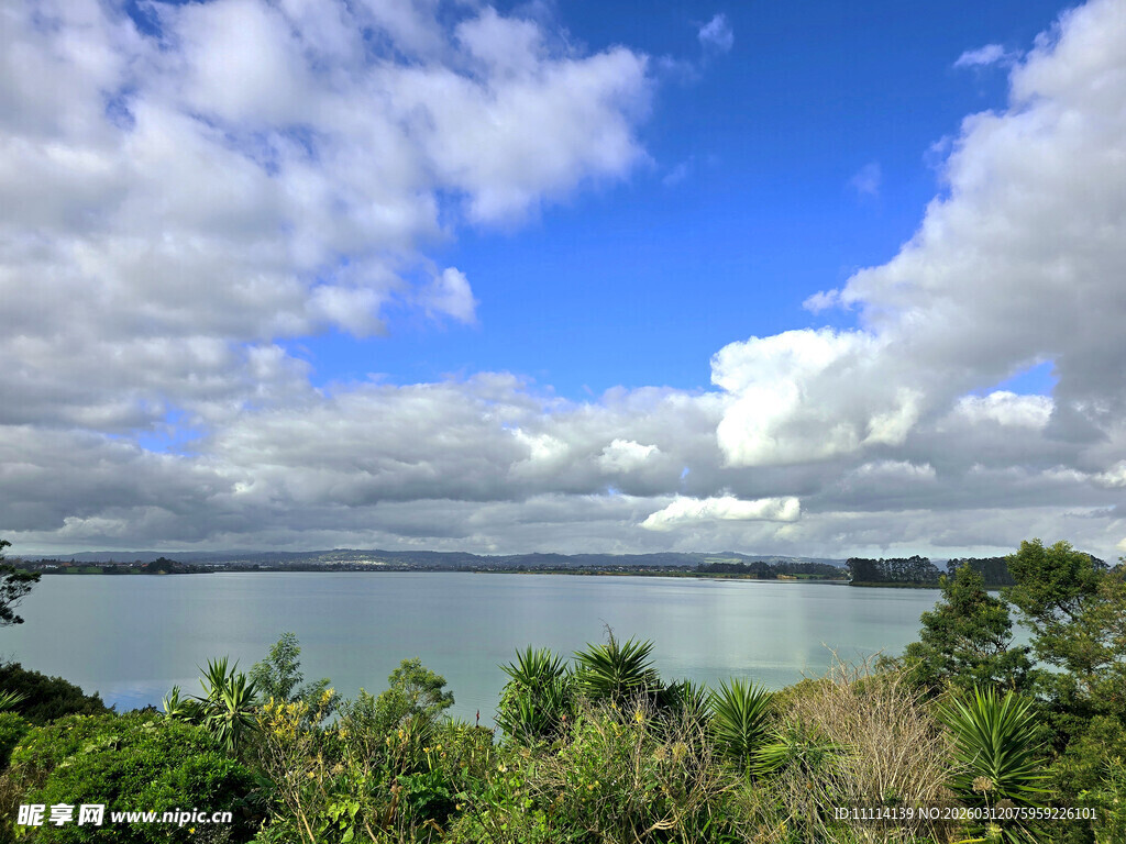 海滨蓝天绿树美景