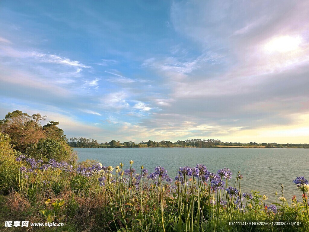 奥克兰海边美景