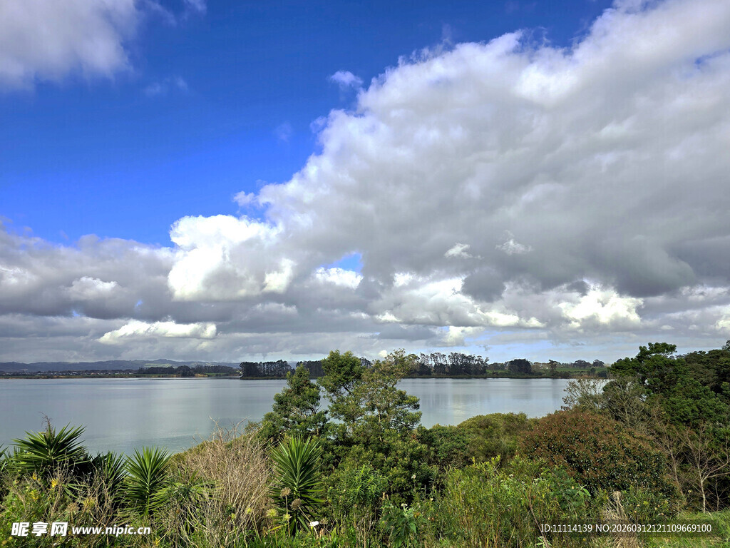 海滨蓝天绿树美景