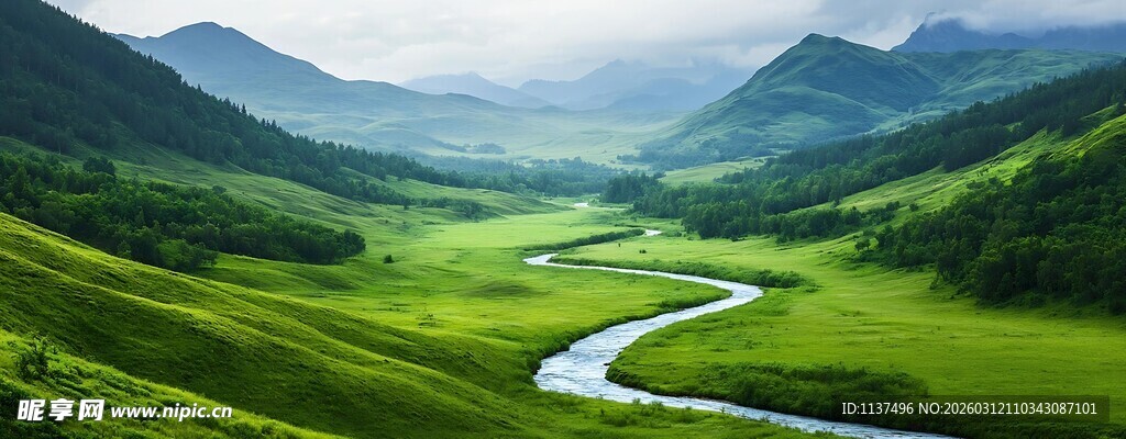 山间蜿蜒河流的翠绿美景