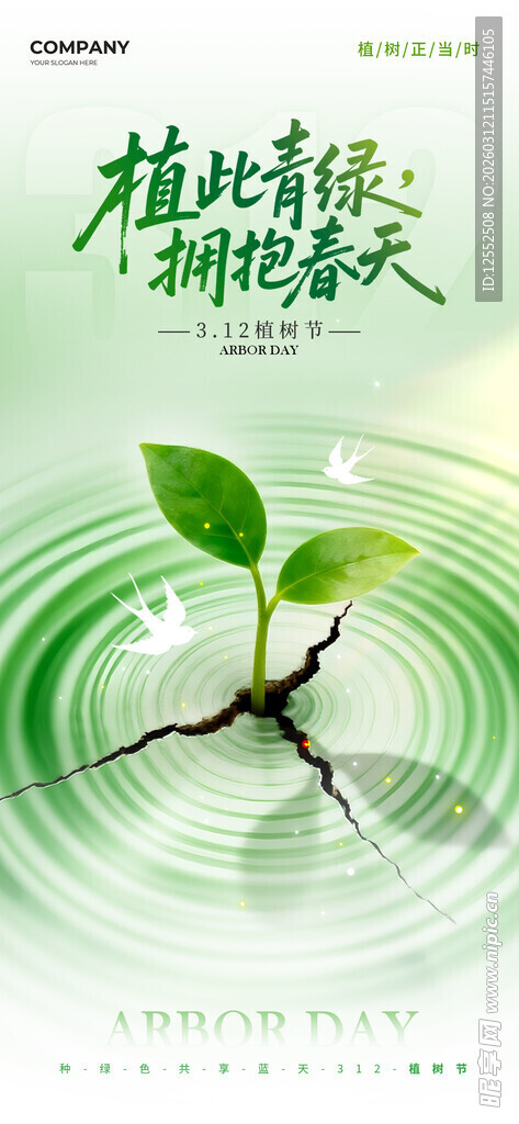 绿色清新植物钟表画面