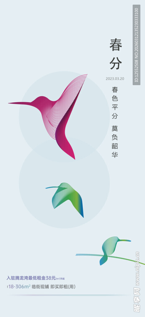 春分时节飞鸟与绿叶图景