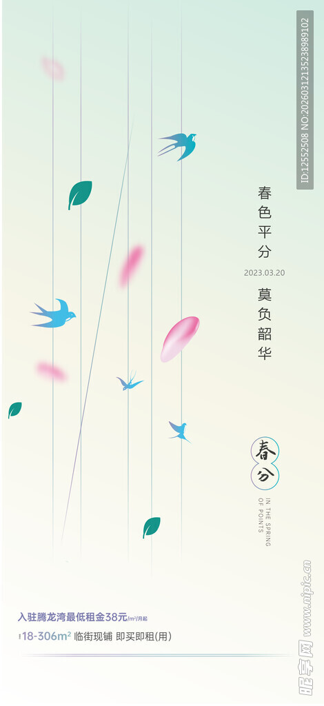 梦幻飞鸟飘羽背景图