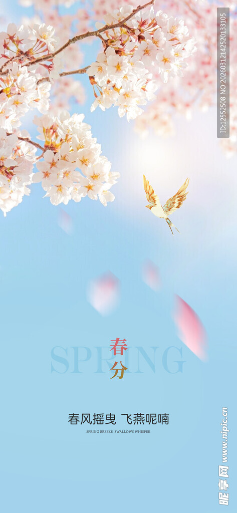 春日樱花飞舞美景