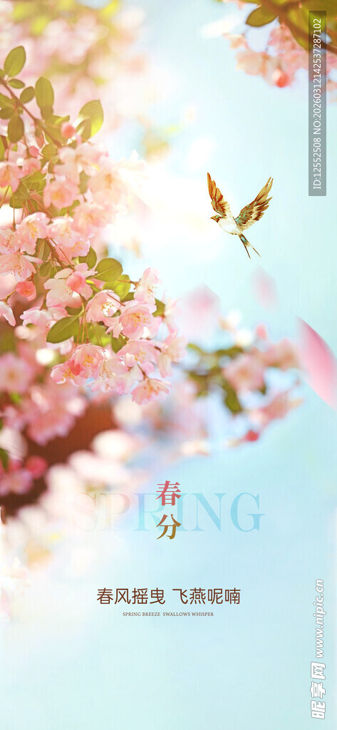 春日樱花下的灵动飞鸟