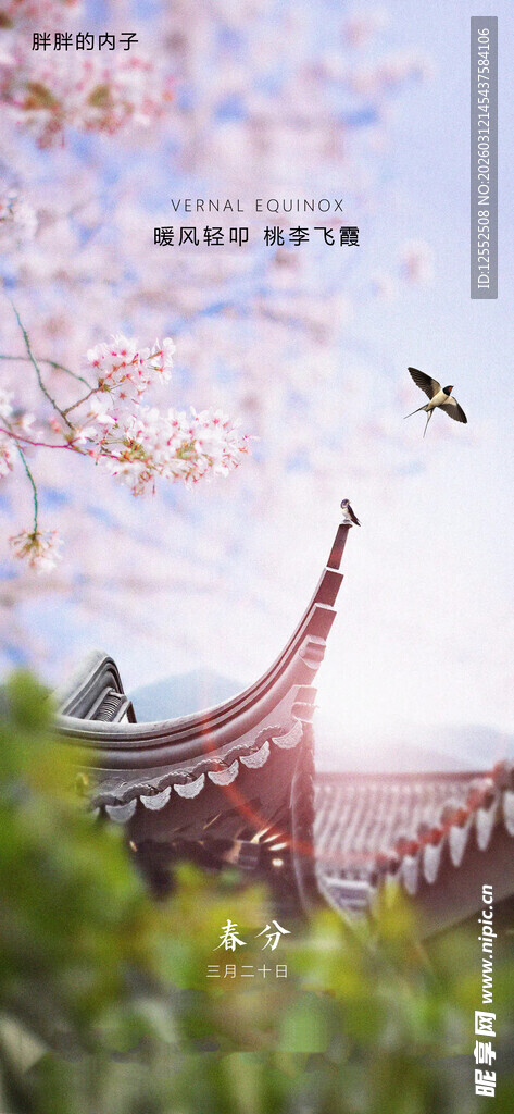 春日古建旁的烂漫樱花