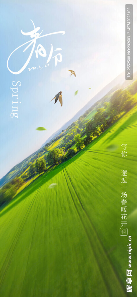 春日绿野风筝放飞美景