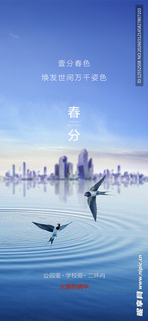 城市天际线与飞鸟水面景象