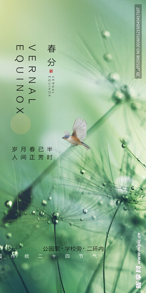 草尖上的蜻蜓与晶莹露珠