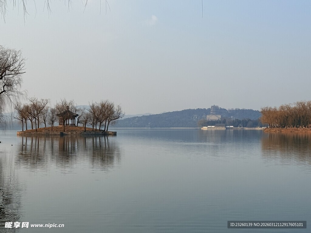 宁静湖面与远处树木风景