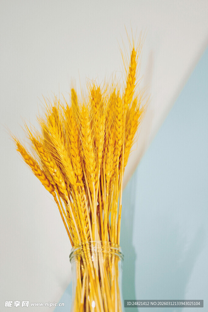 瓶插金黄麦穗装饰摆件