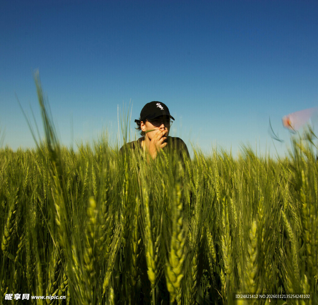 麦田中戴帽男子的惬意瞬间