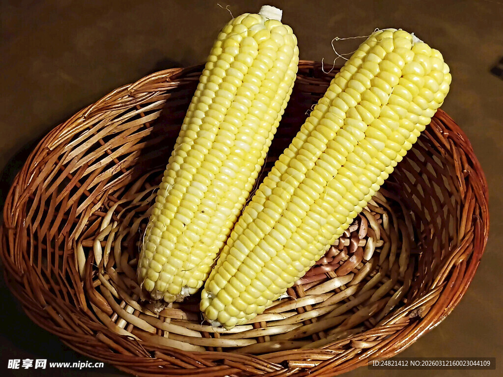 篮子里的两根新鲜玉米
