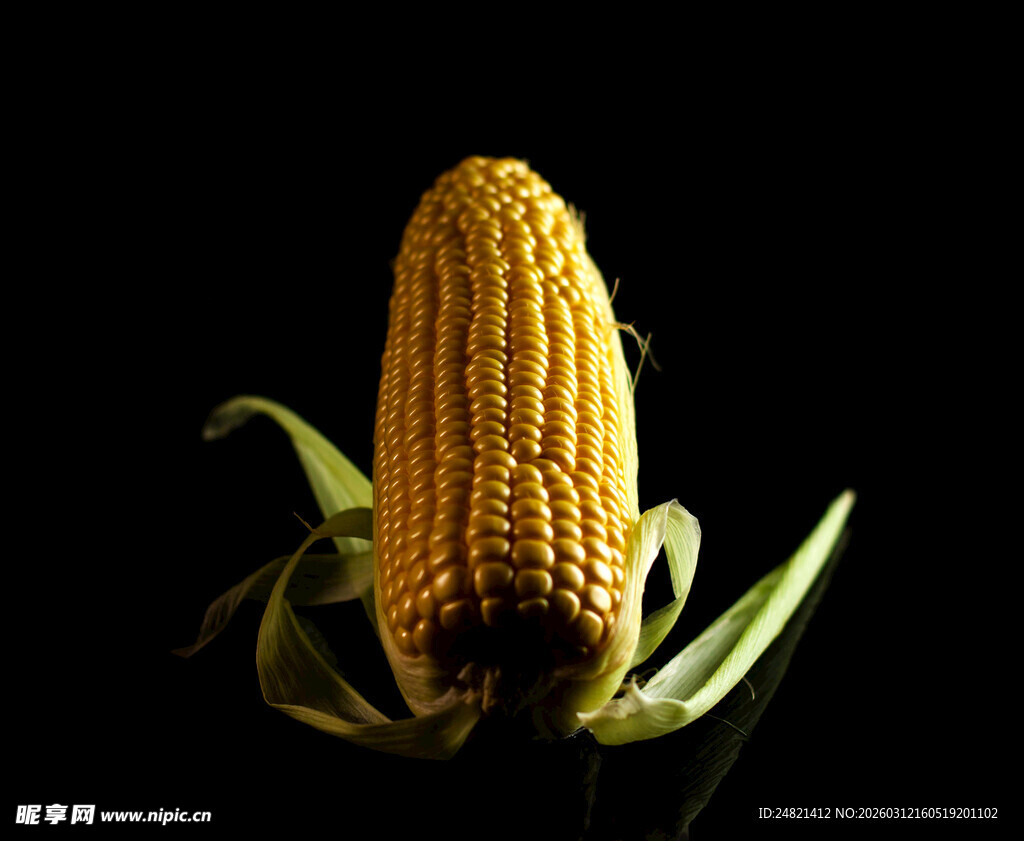 金黄玉米特写