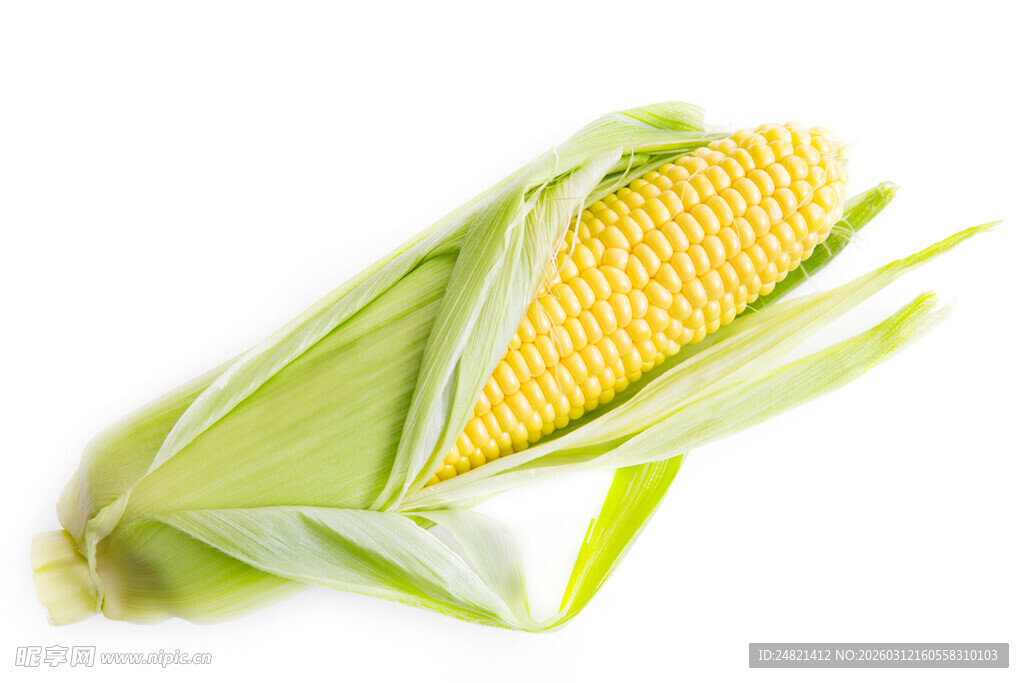 新鲜带皮玉米