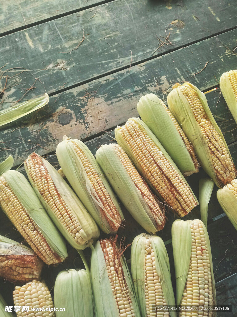 新鲜玉米排列在木质背景上