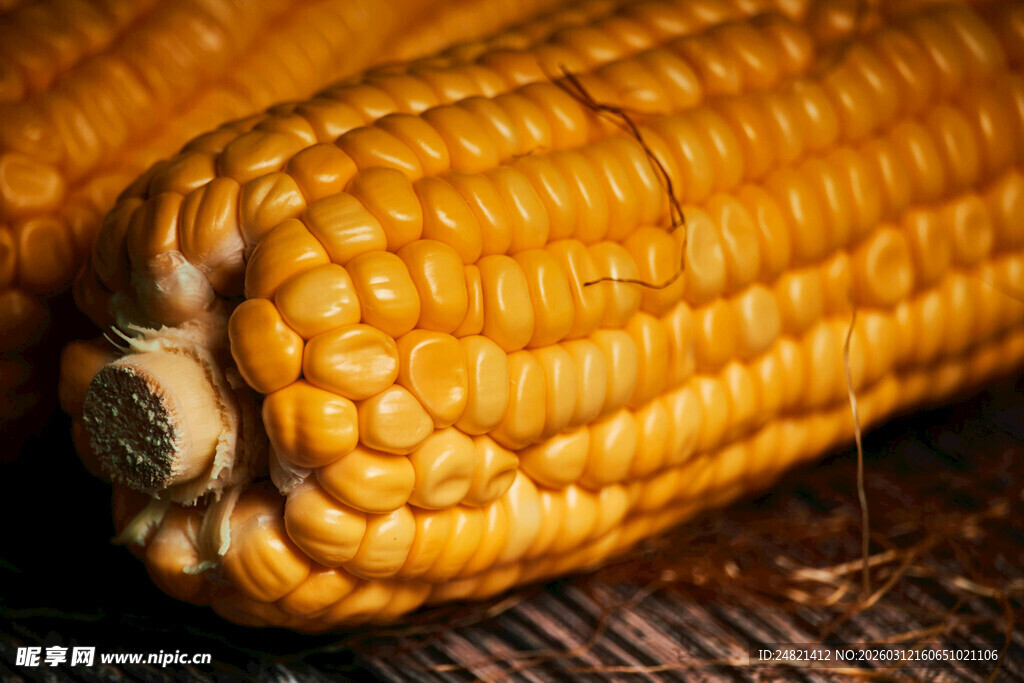 金黄饱满玉米特写