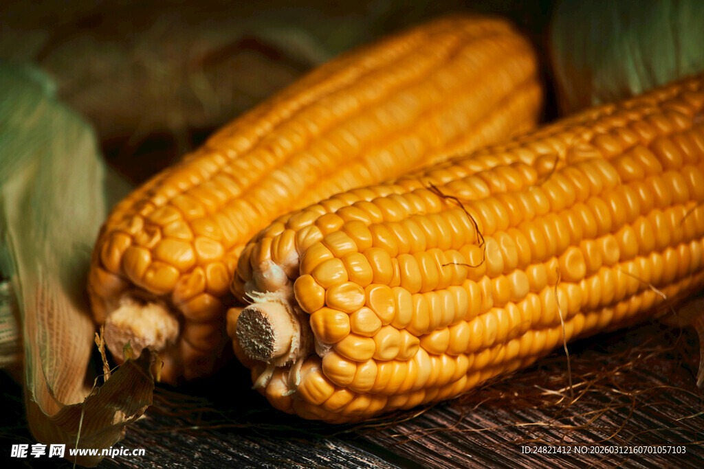 金黄饱满玉米摆于木桌