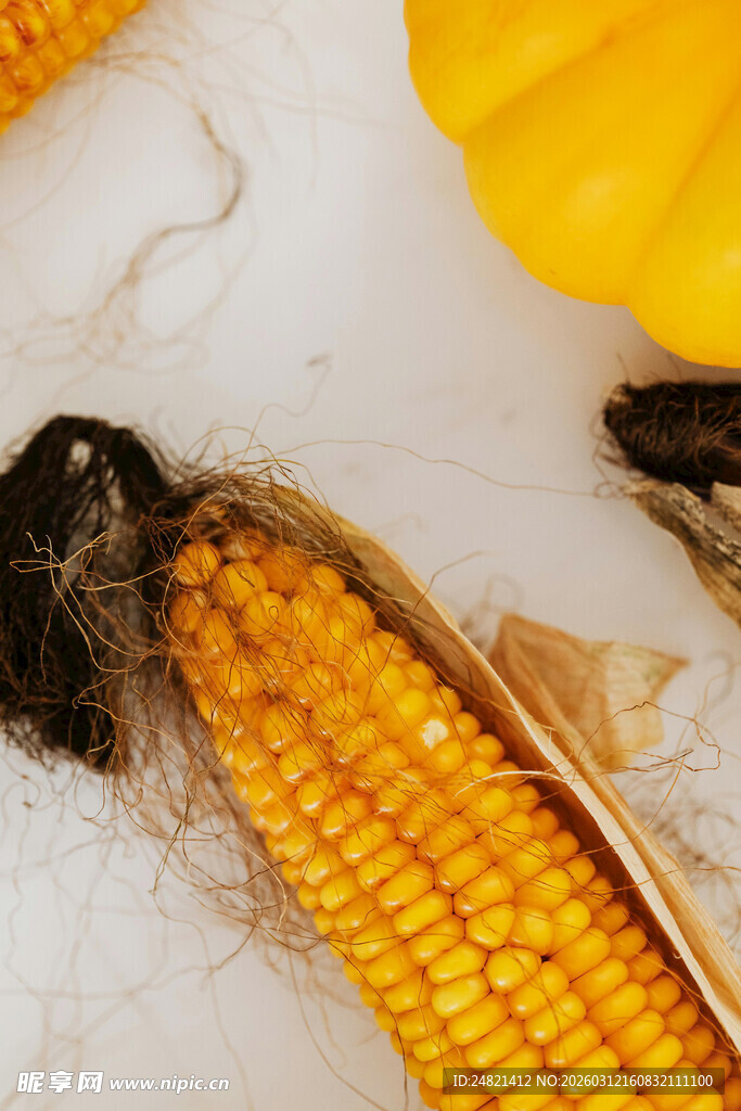 新鲜玉米与南瓜的组合