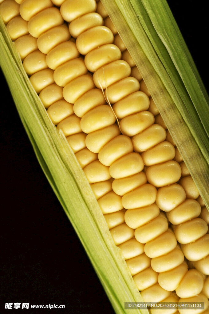 鲜嫩玉米棒特写