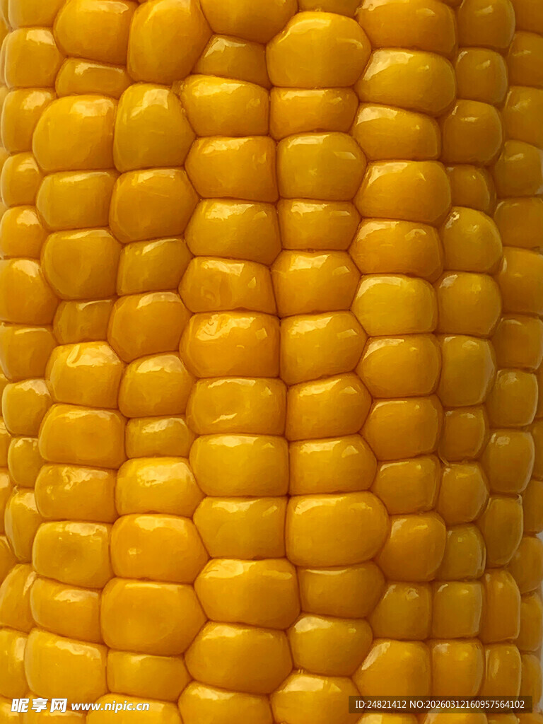 饱满金黄玉米粒特写