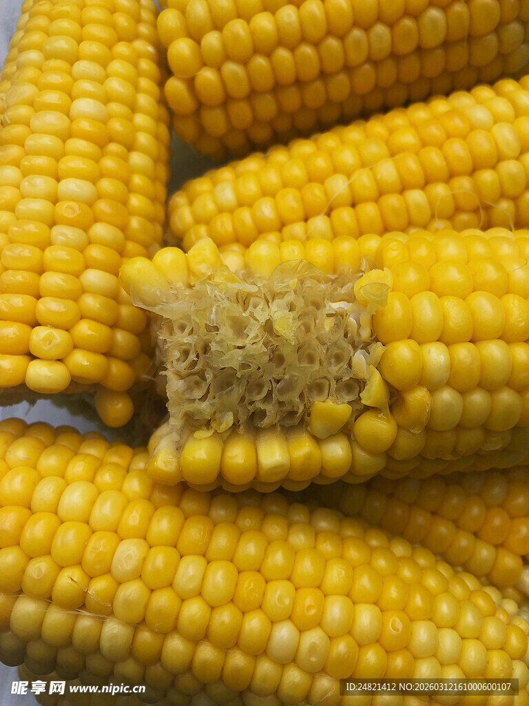 新鲜饱满的玉米棒