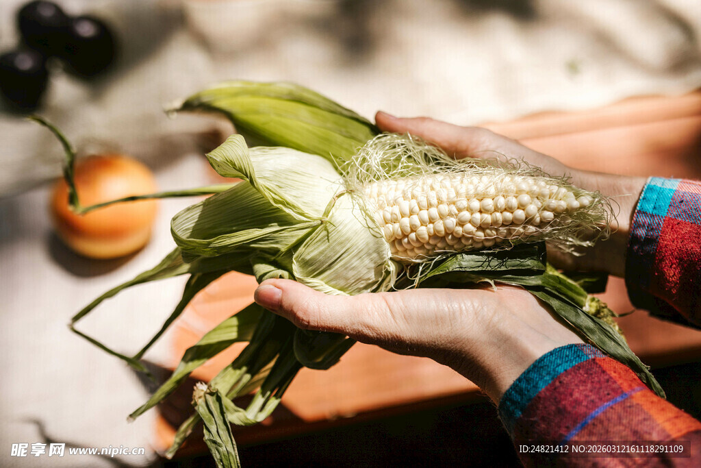 手捧鲜嫩玉米的田园场景
