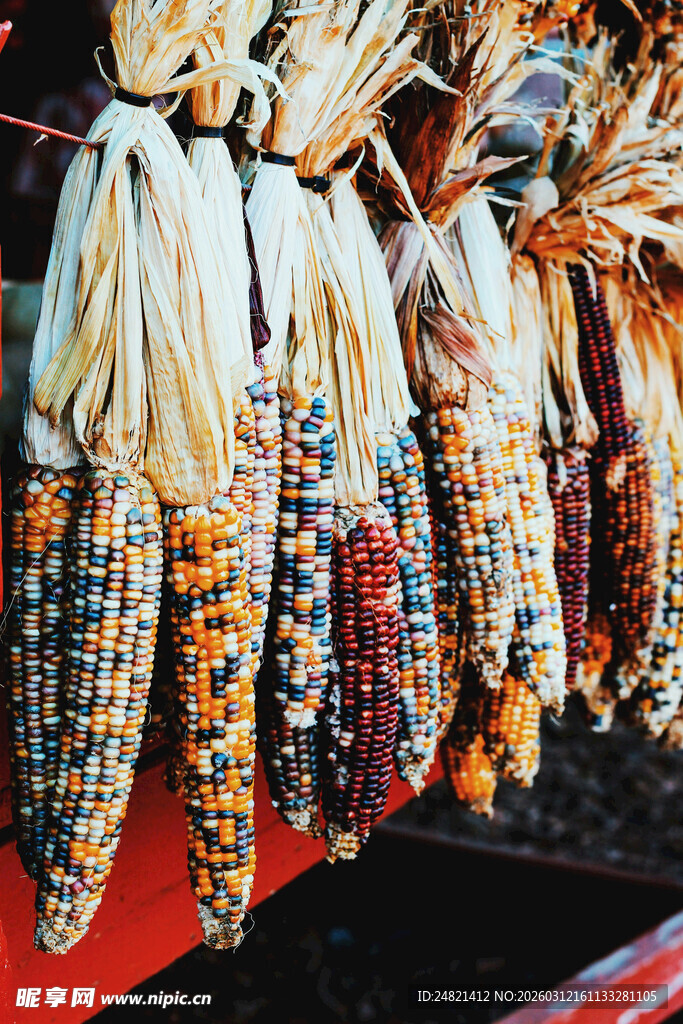 多彩玉米串