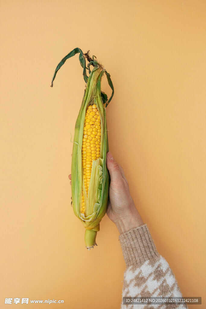 手捧鲜玉米展示田园气息